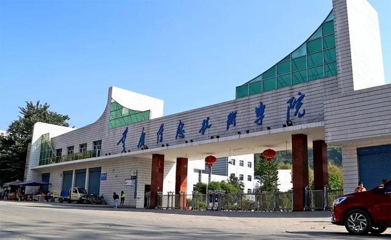 乘风破浪的智慧先锋 重庆信息技术咨询服务发展观察